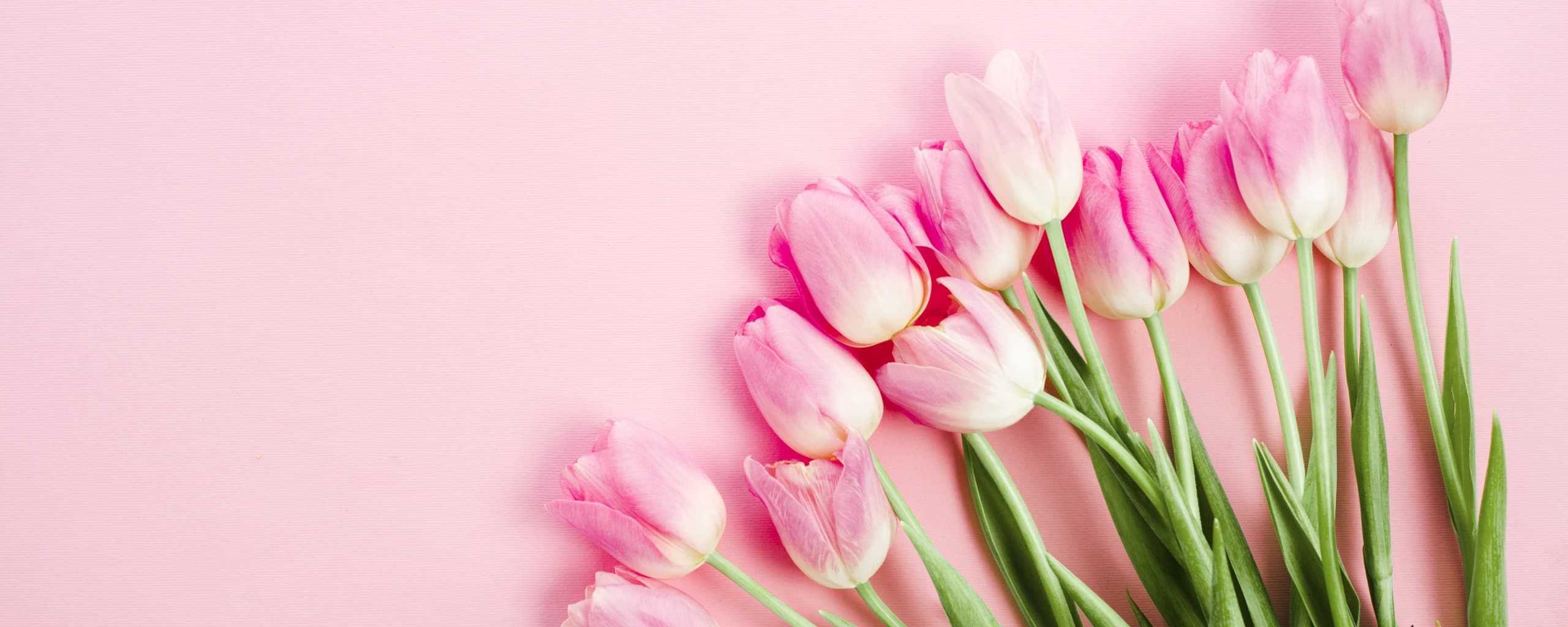 Fresh Flowers Banner